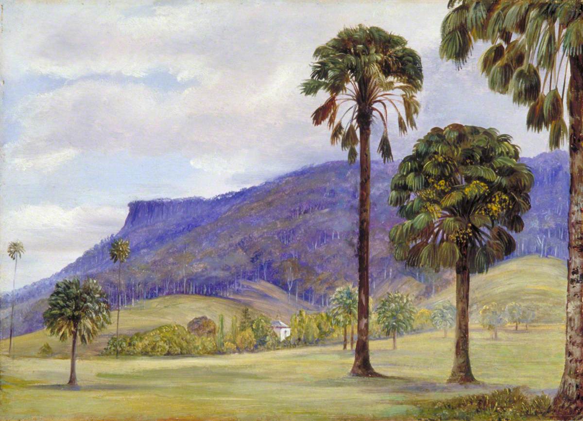 View of Illawarra, New South Wales