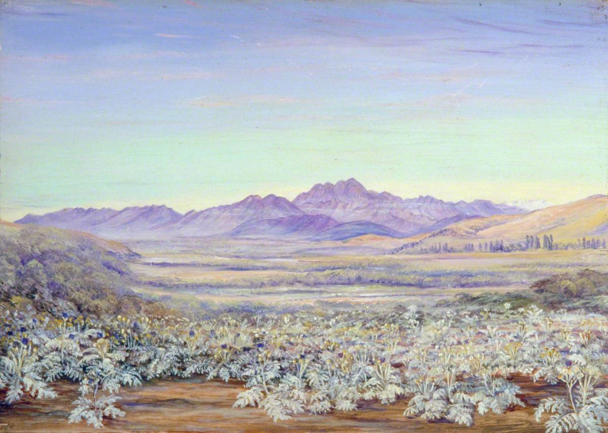 View of the Bell Mountain of Quillota, Chili, with Colonised Cardoons in the Foreground