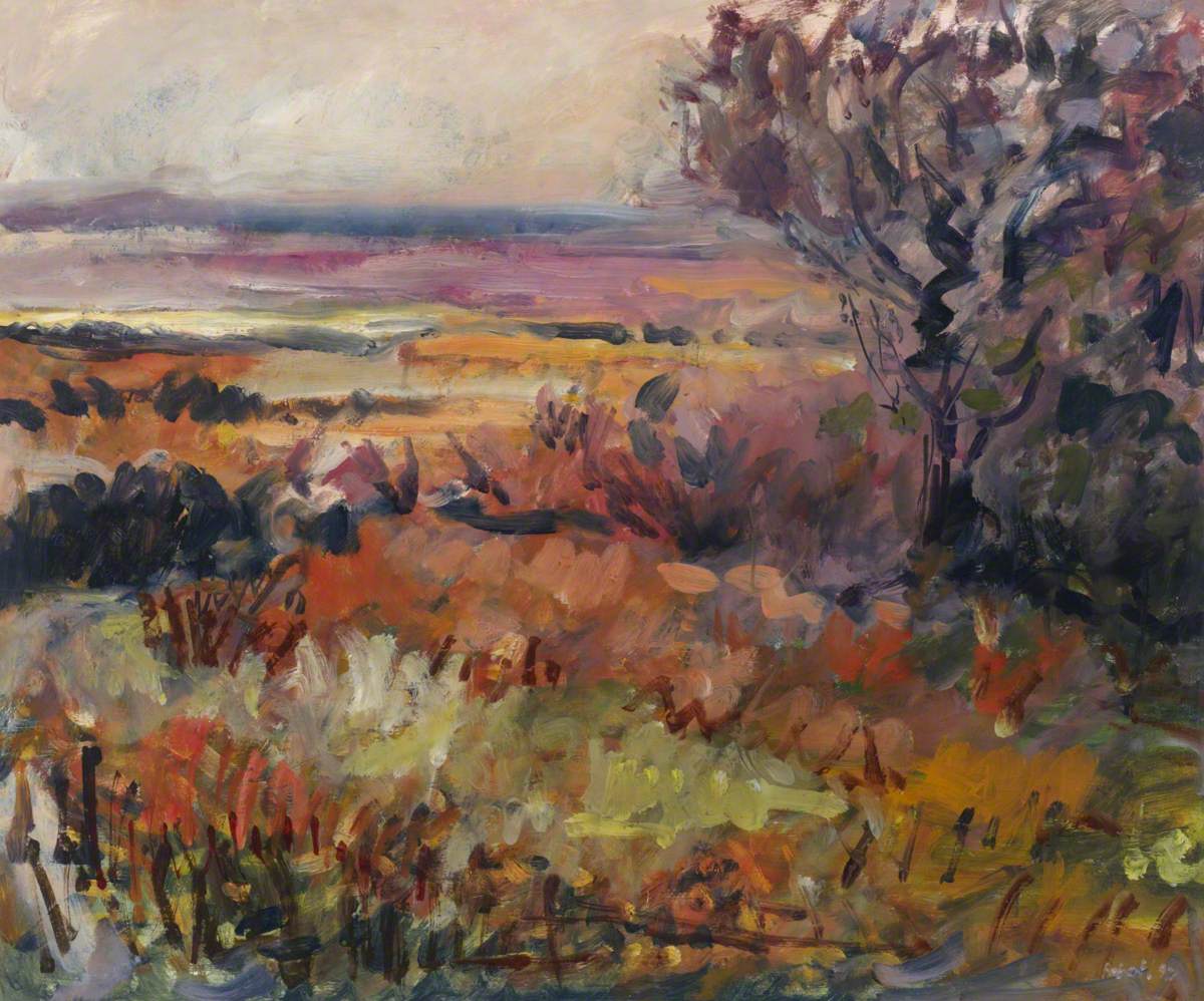 Sligo Landscape