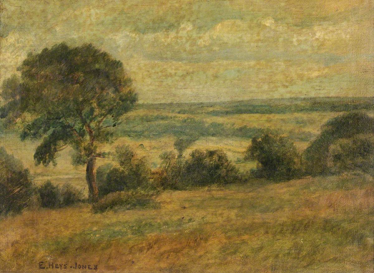 View from Horsenden Hill | Art UK