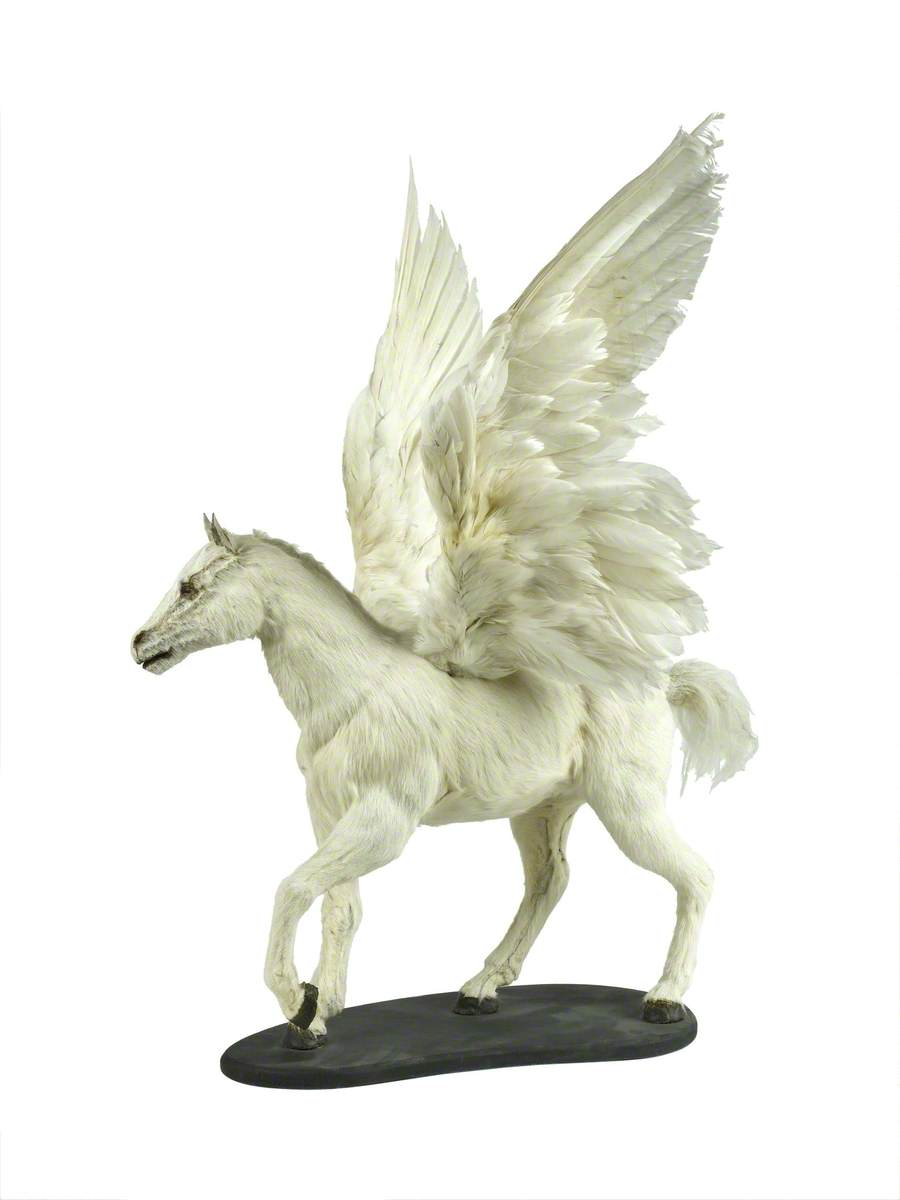 Pegasus