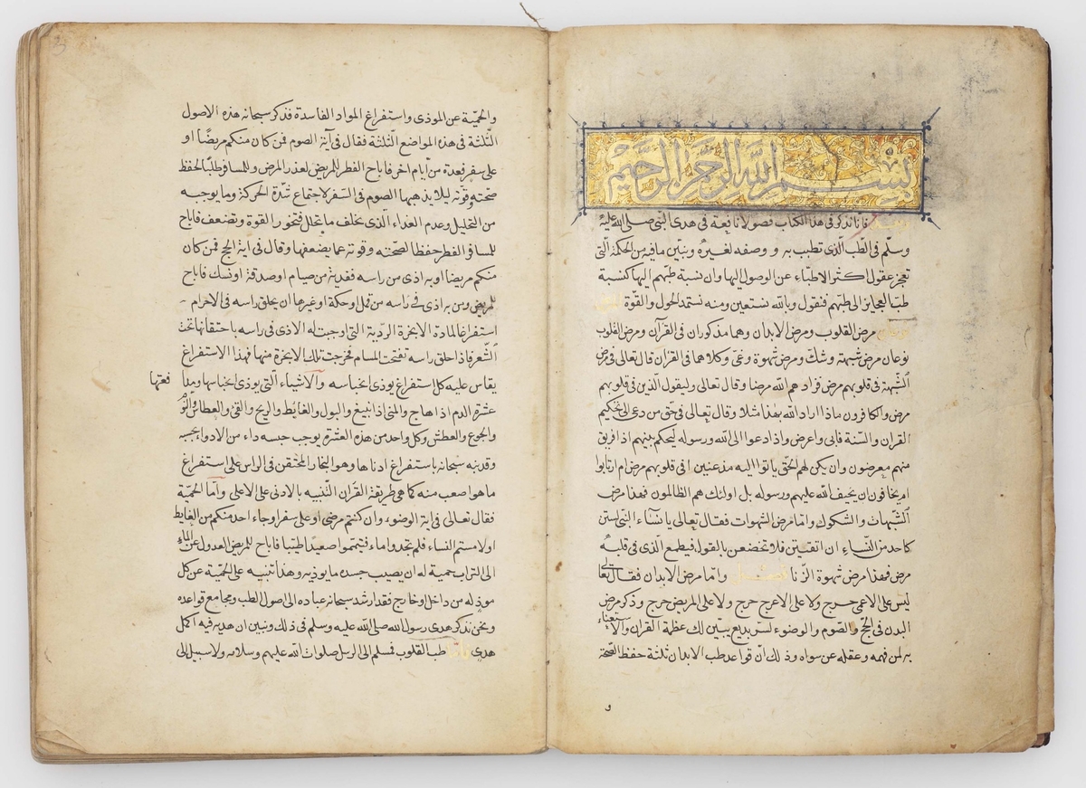 Kitab al-Hadi al-Muhammadi fi'l-Tibb al-Nabawi (A Treatise on Prophetic Medicine)