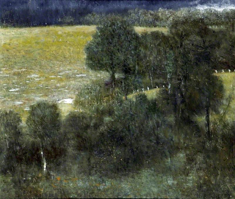 Forest Trees