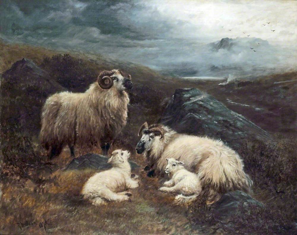 Four Sheep in a Landscape