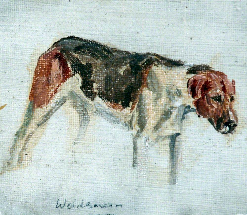 Sketch of a Dog