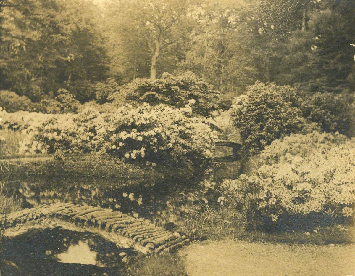 Stody Lodge Watergarden