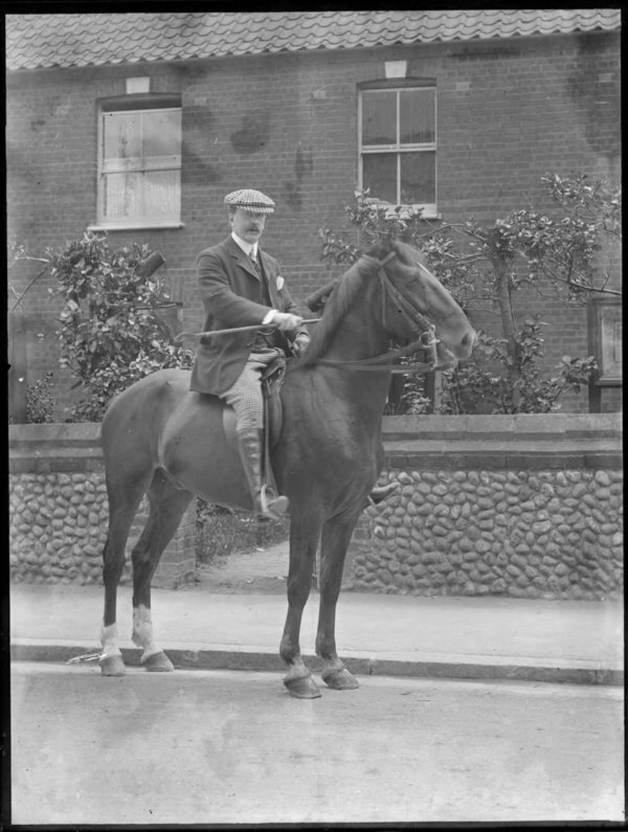 glass plate negative