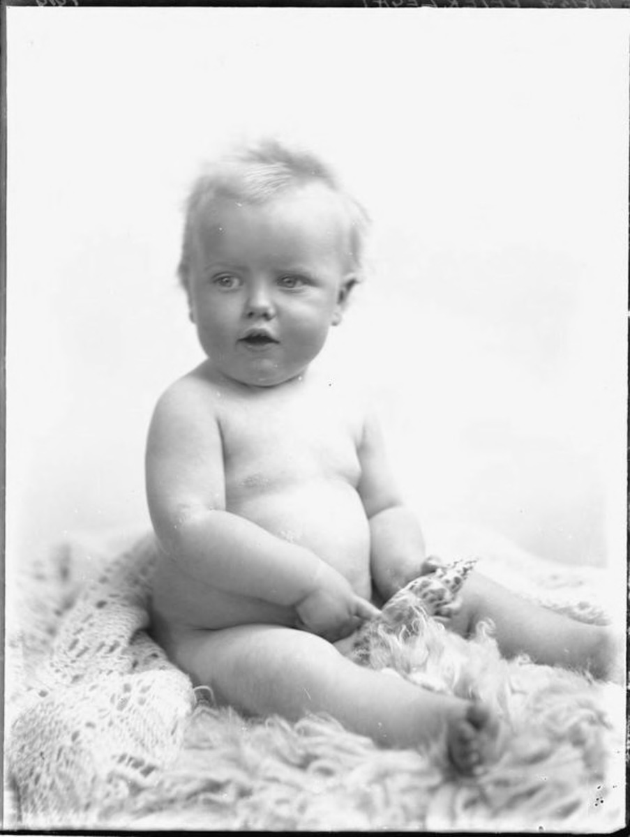 glass plate negative