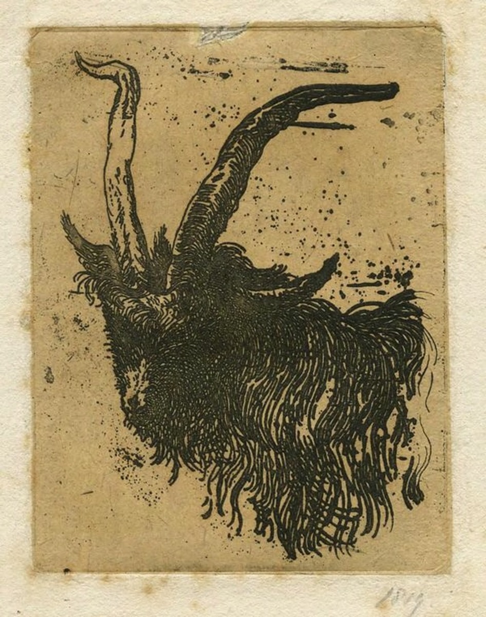 Head of a Goat