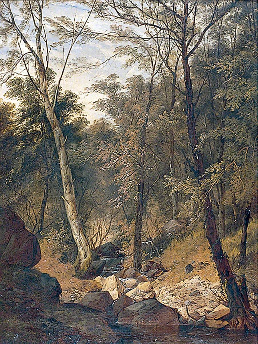 Study of Trees