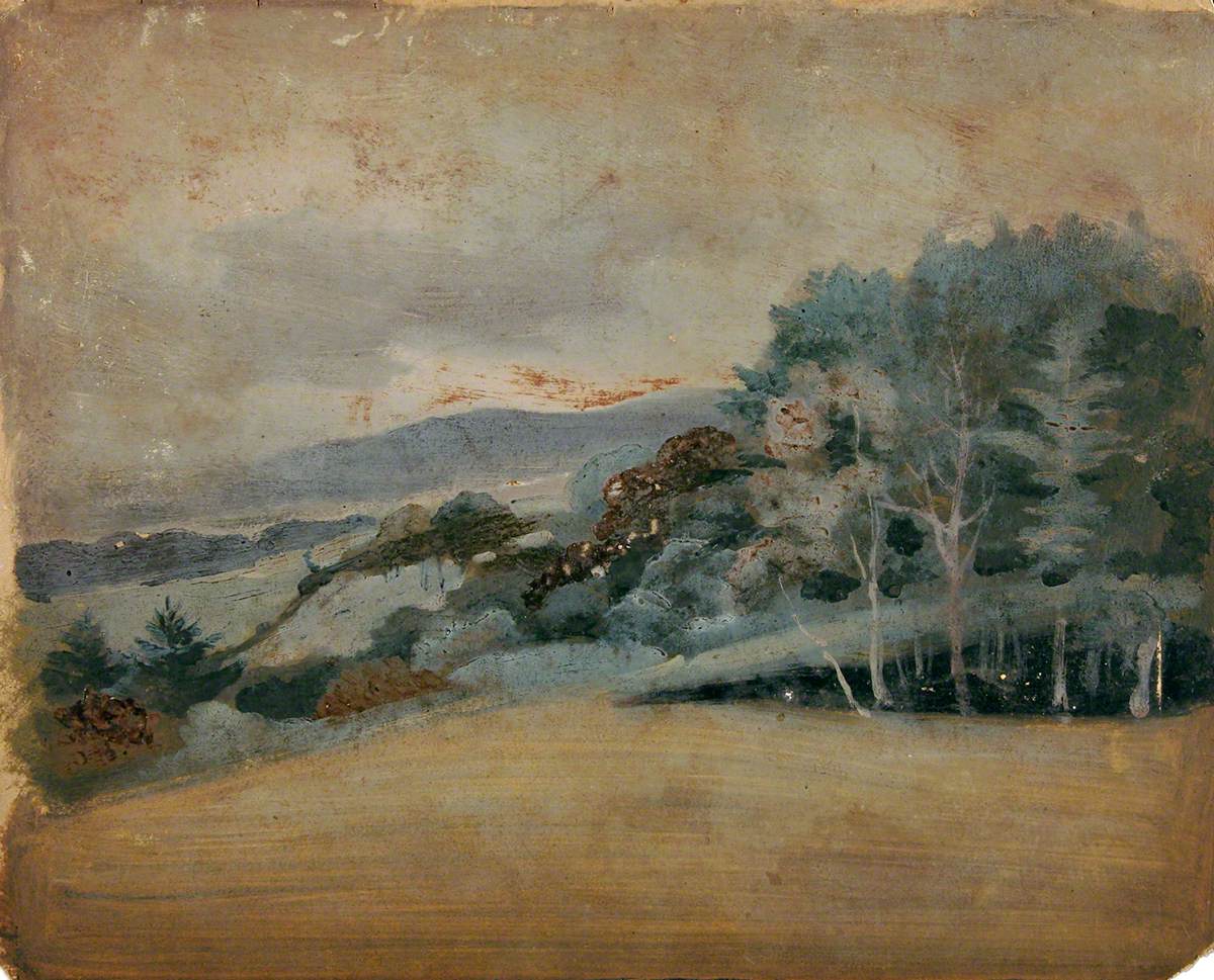 Hilly Wooded Landscape