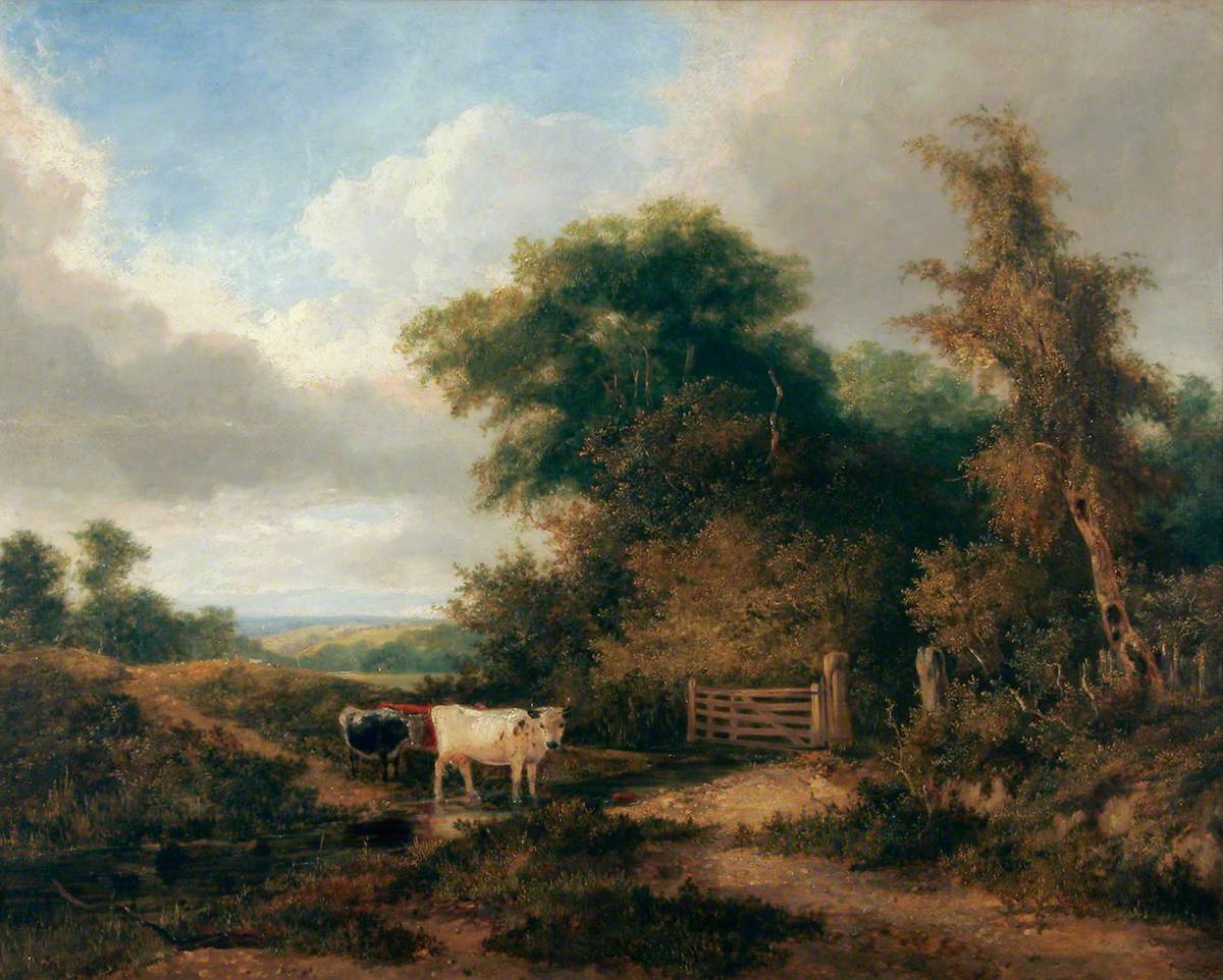 Rustic Scene