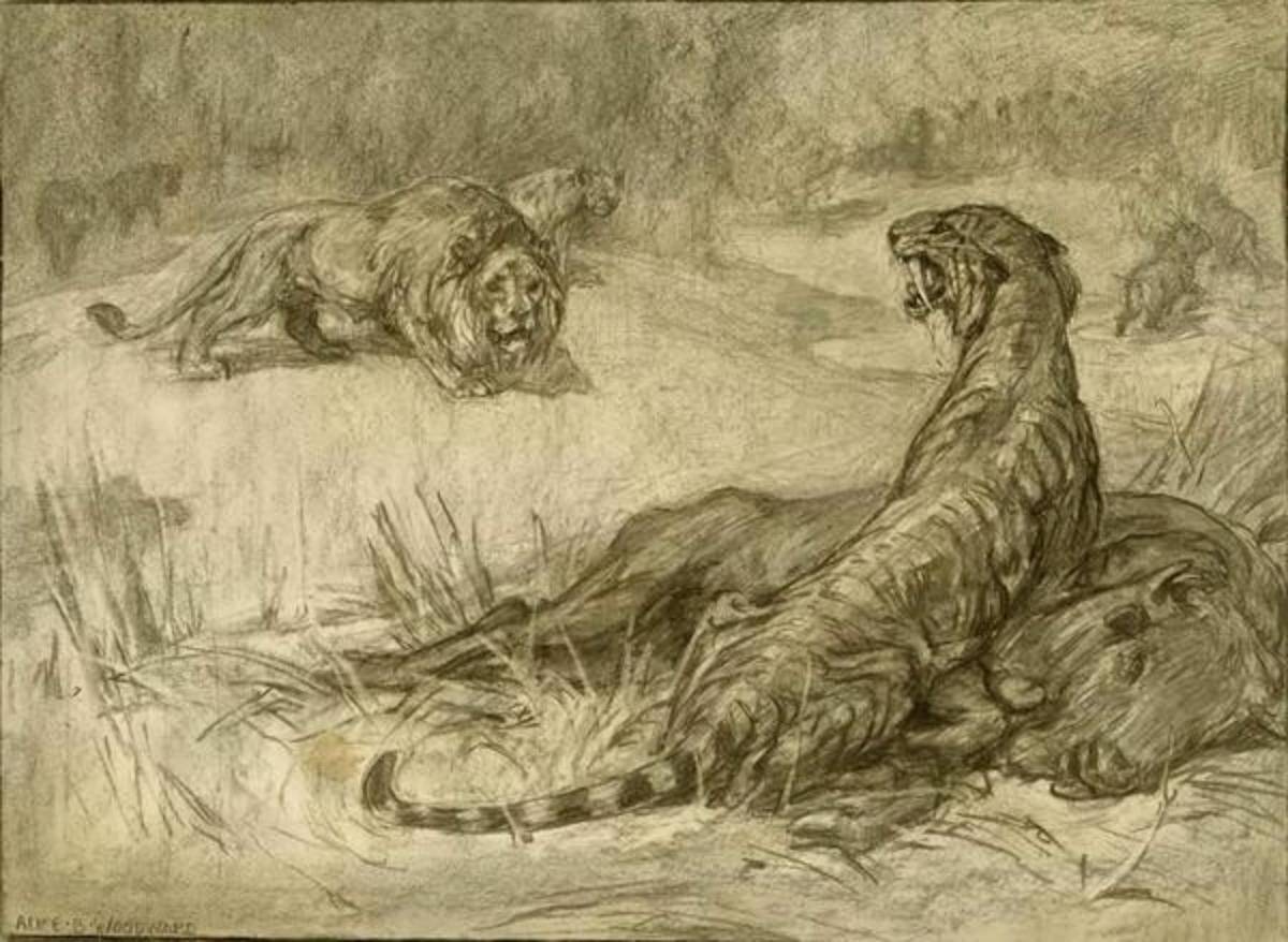 Sabre-tooth tiger and cave lion
