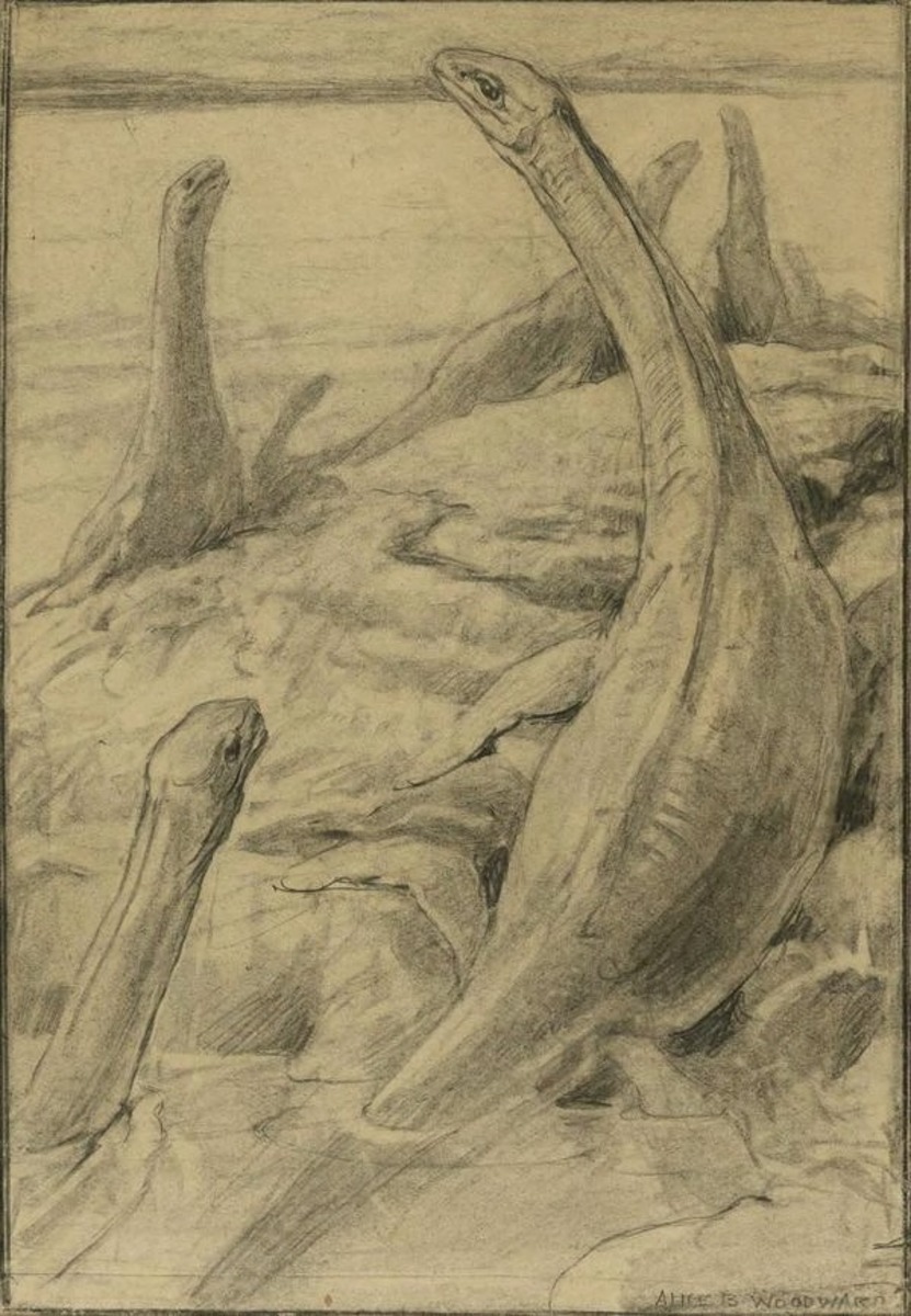Restoration of Plesiosaurus