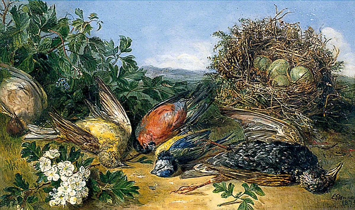 Dying Birds, Illustration for a Poem