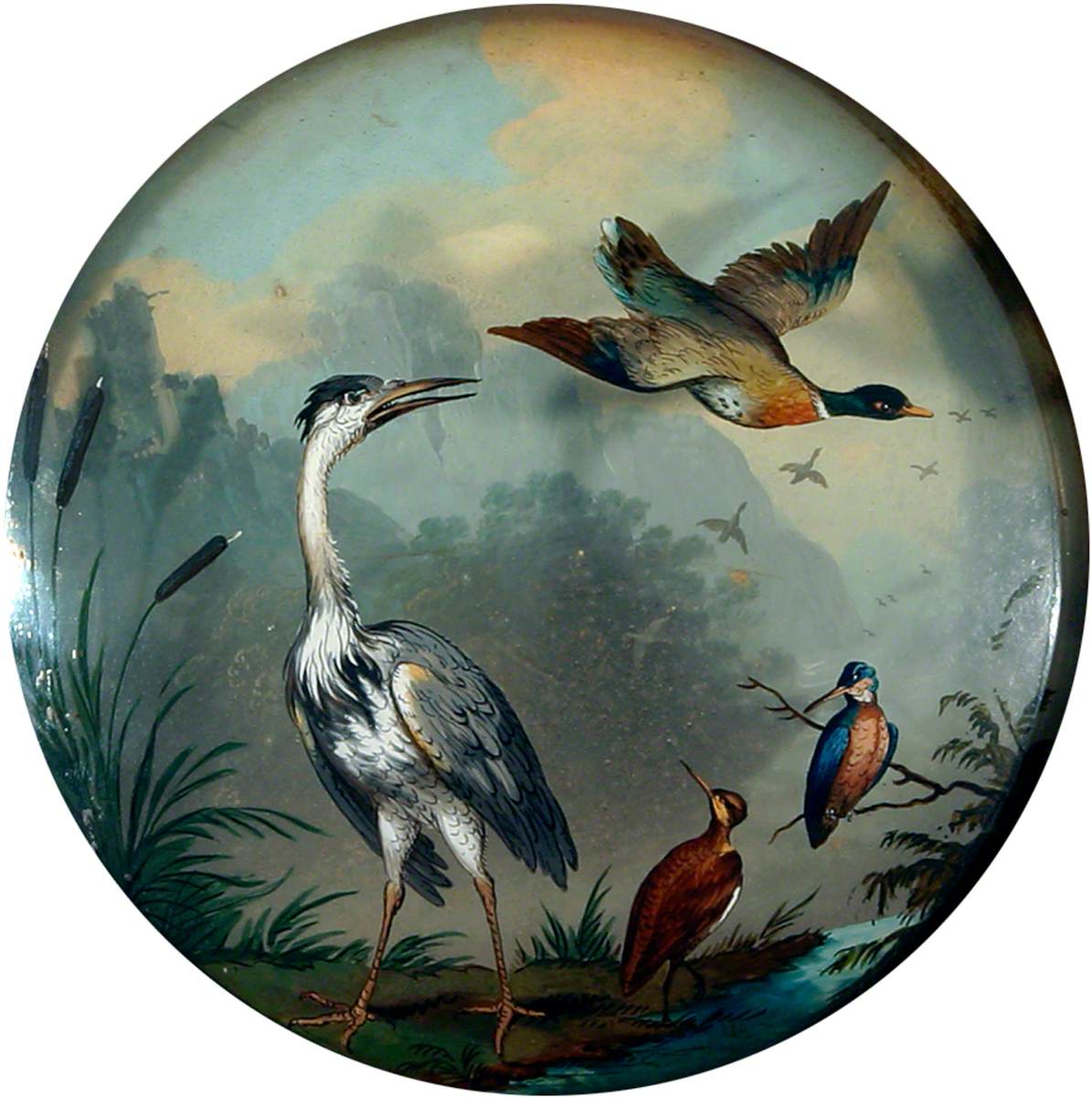 Heron with Mallard and Birds