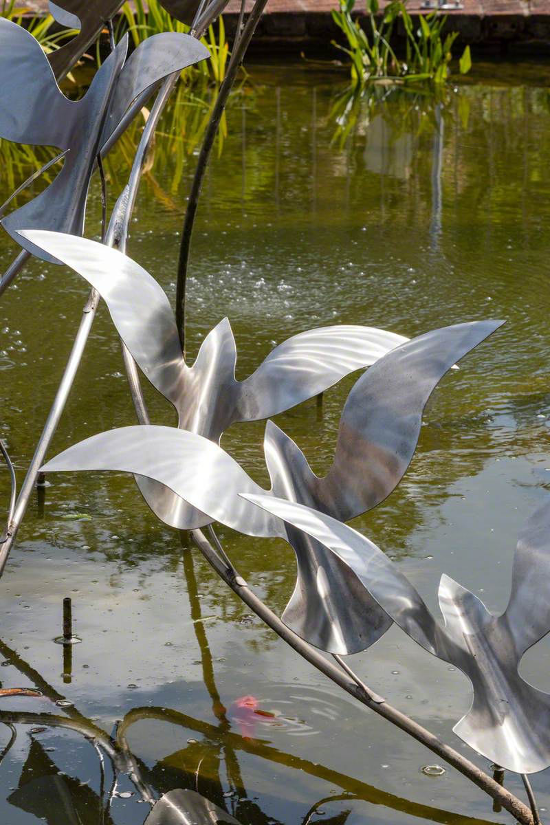 Bird Flight