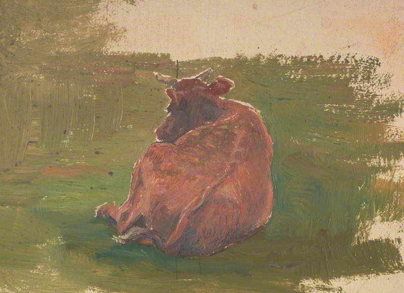 Rear View of a Cow Lying Down
