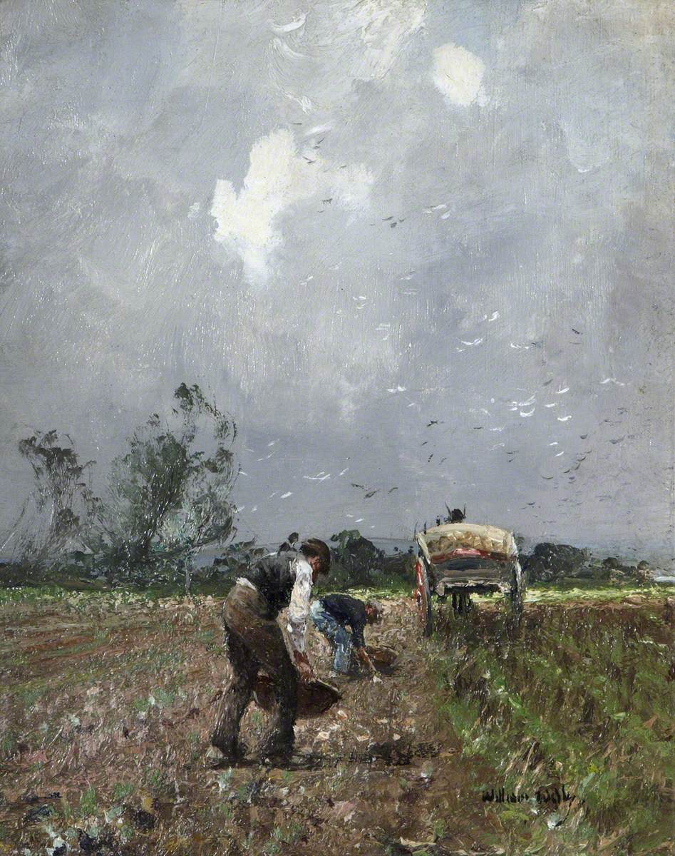 Field Workers