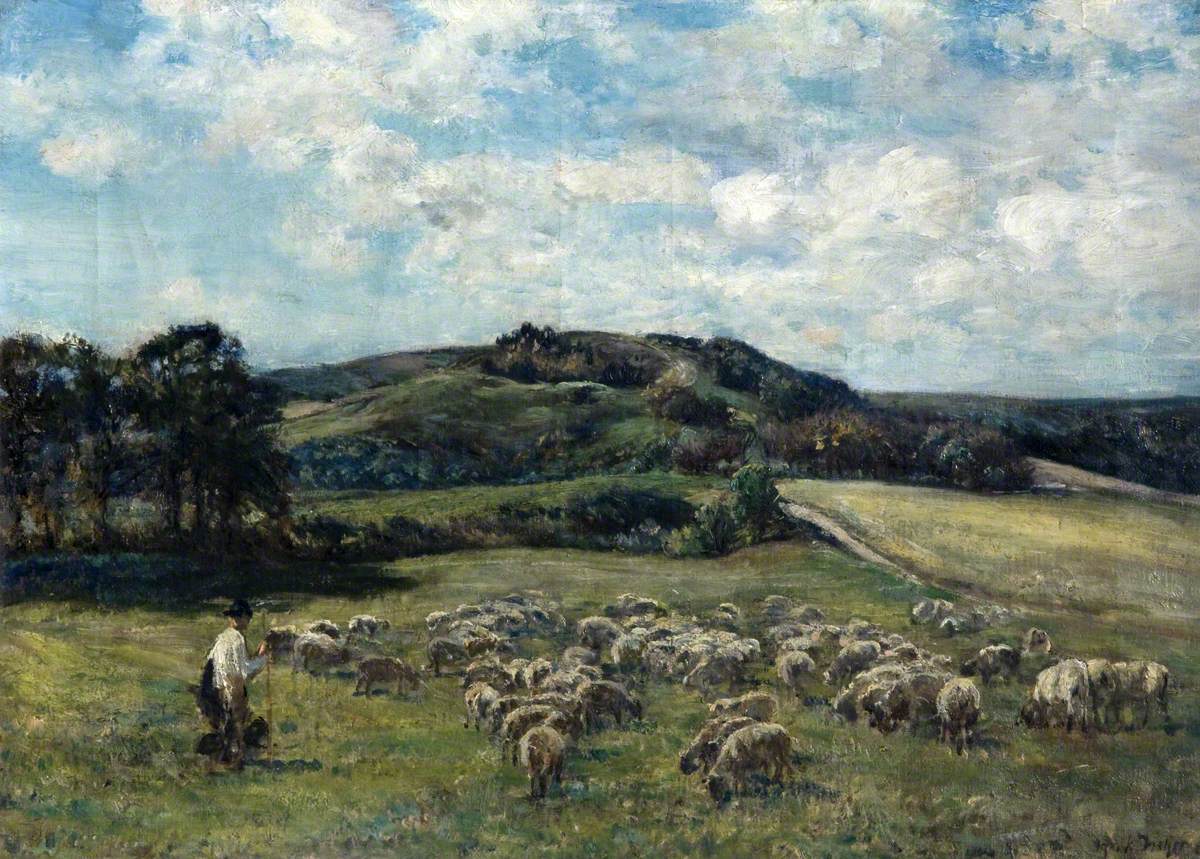 Landscape with Sheep