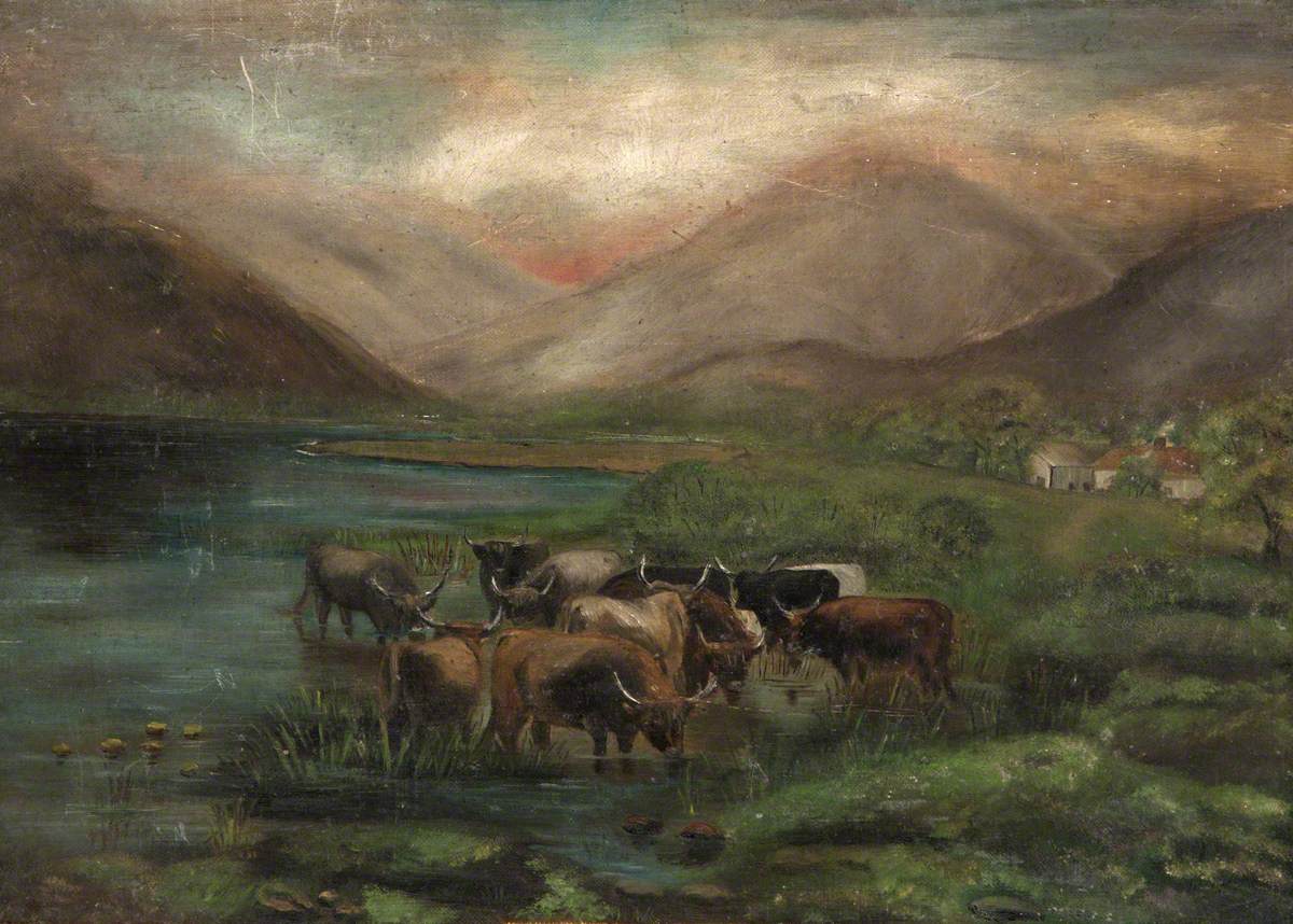 Highland Cattle in a Glen