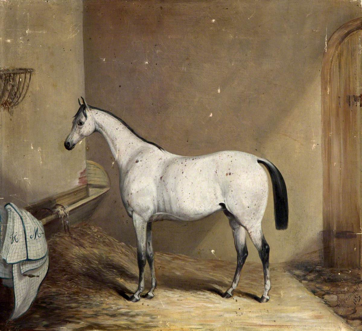 Portrait of a Horse