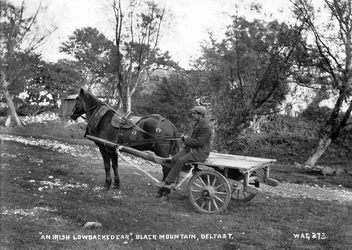 An Irish Lowbacked Car, Black Mountain, Belfast