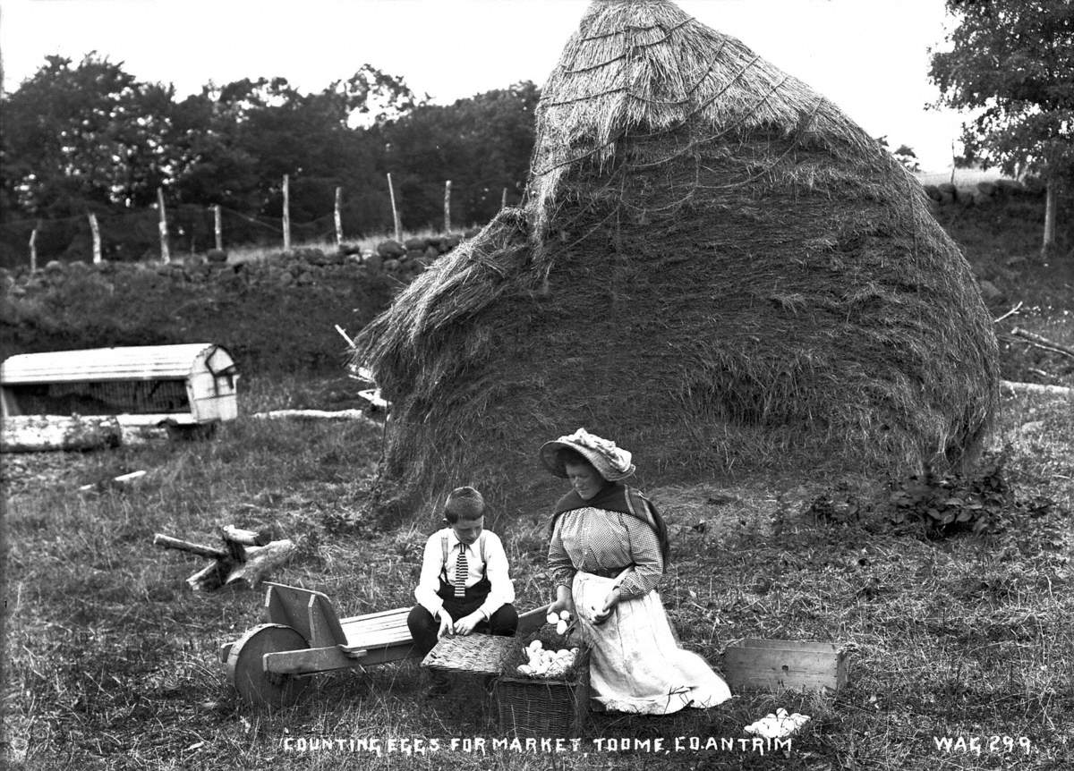 Counting Eggs for Market, Toome Co. Antrim