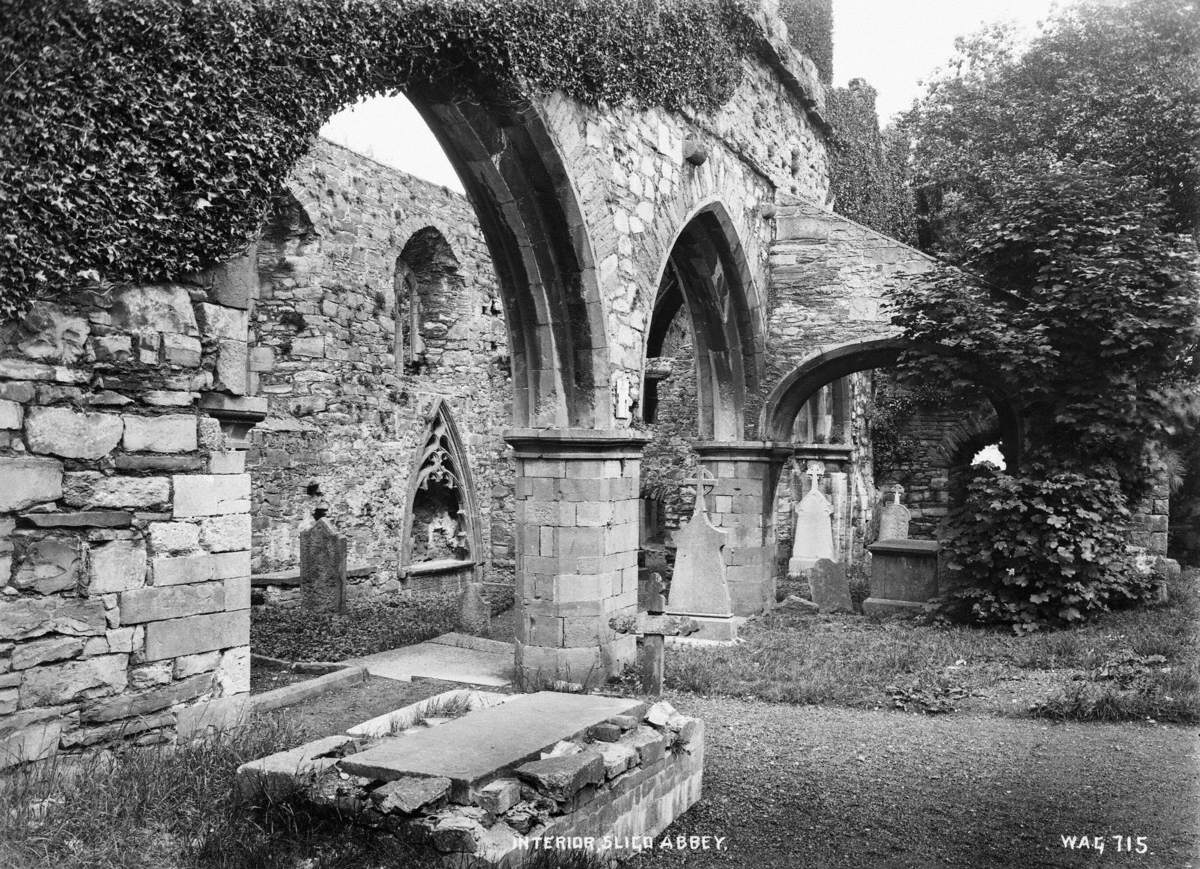 Interior, Sligo Abbey