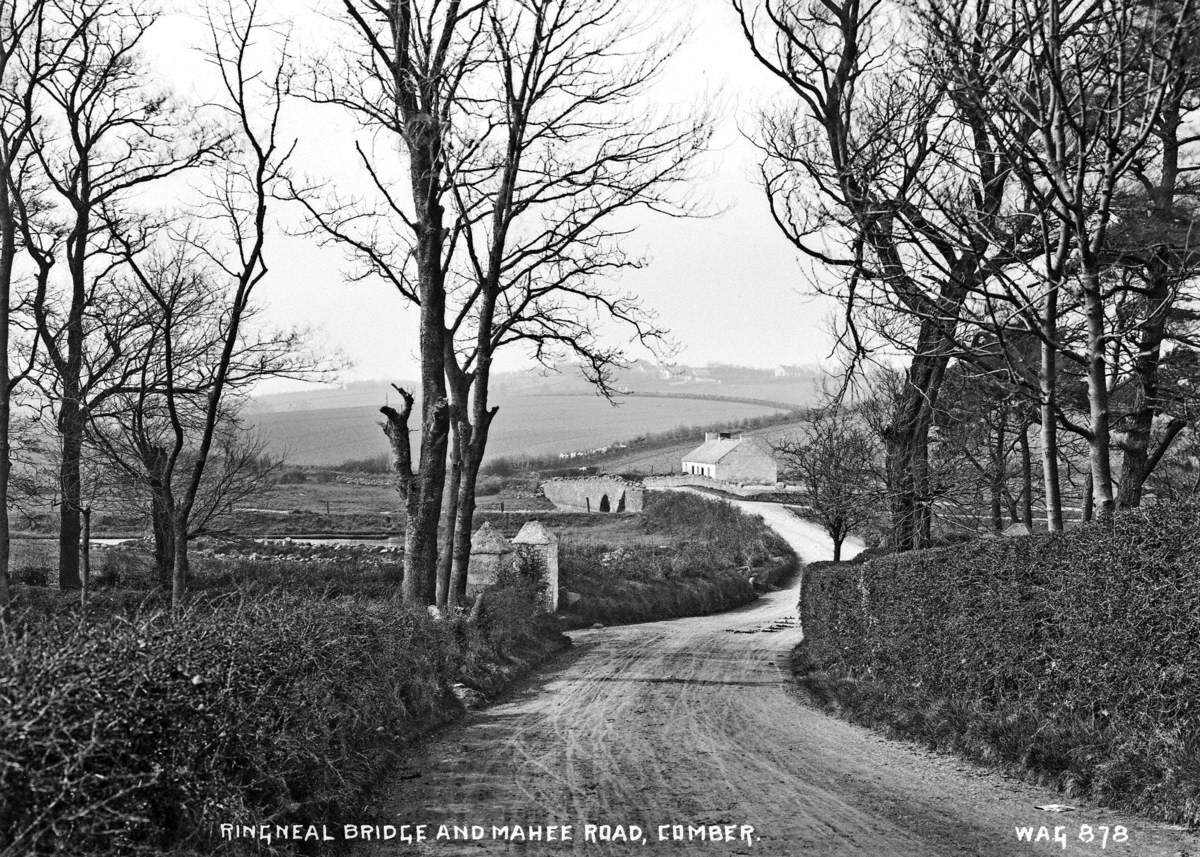 Ringneal Bridge and Mahee Road, Comber