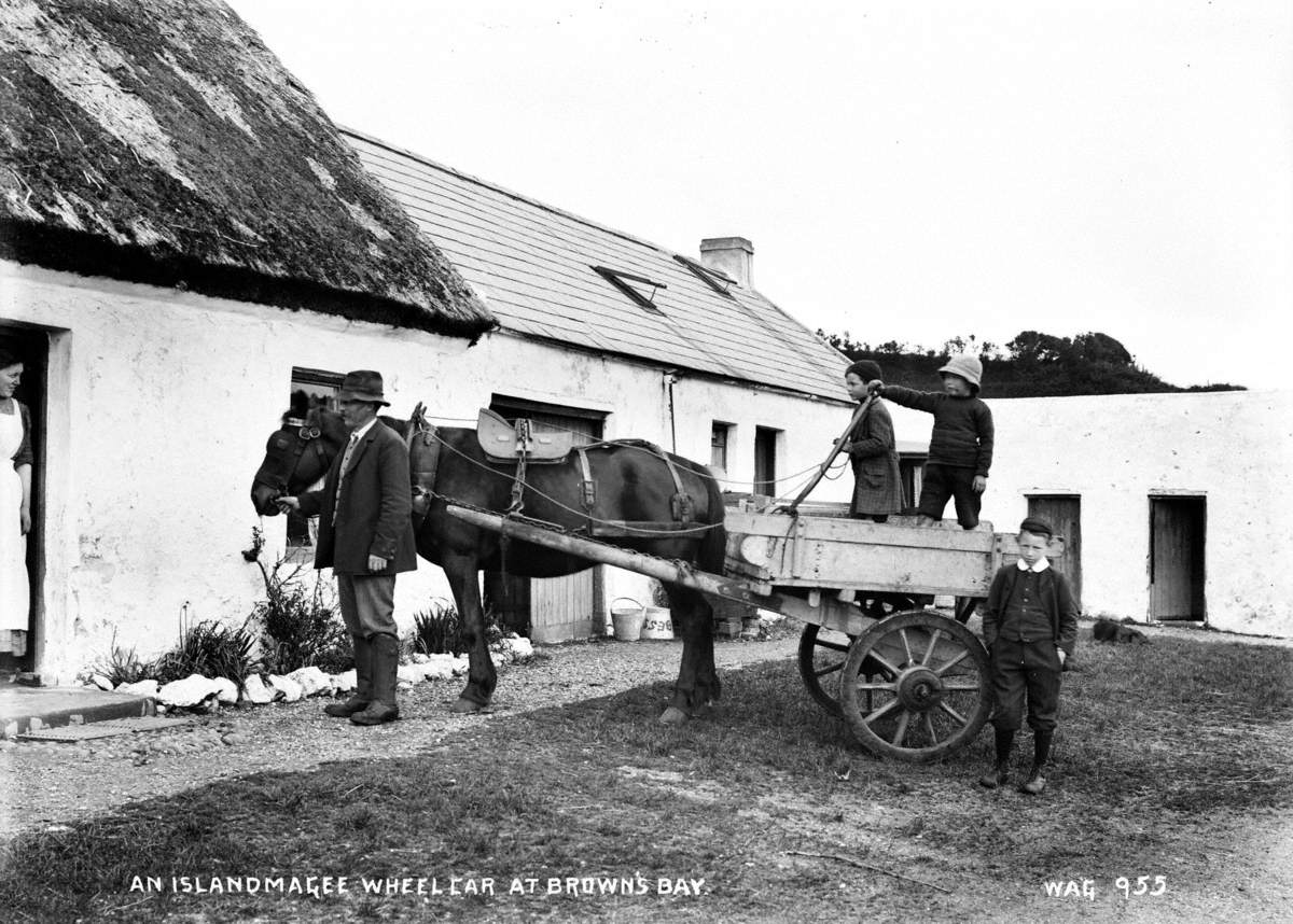 An Islandmagee Wheelcar at Brown's Bay