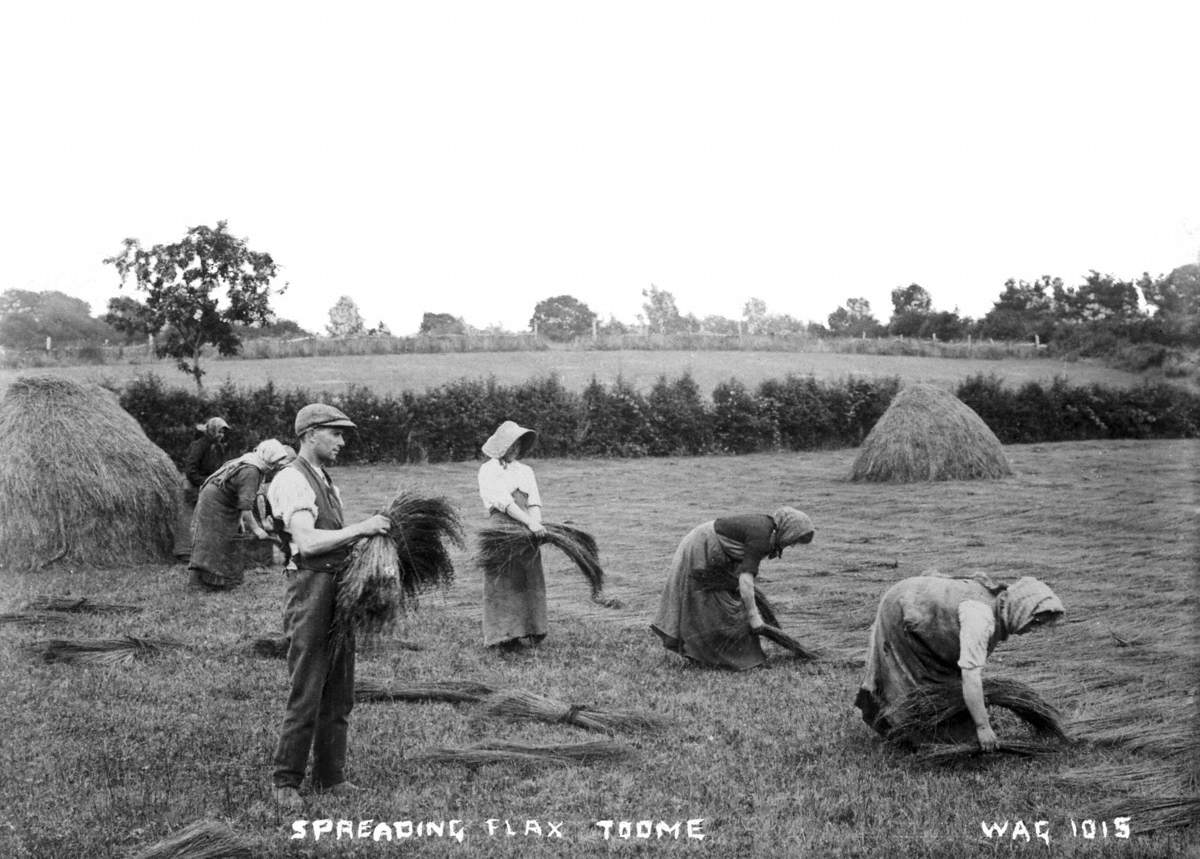 Spreading Flax, Toome