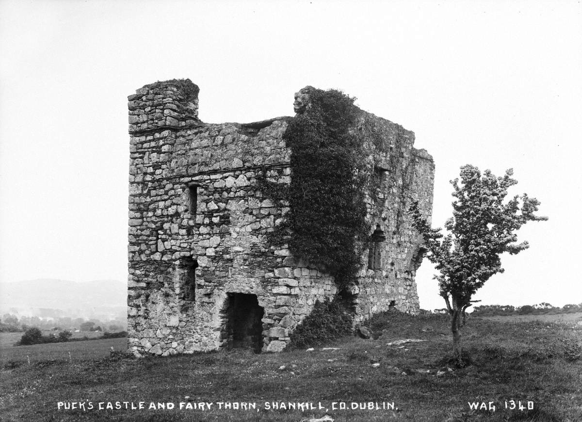 Puck's Castle and Fairy Thorn, Shankill, Co. Dublin