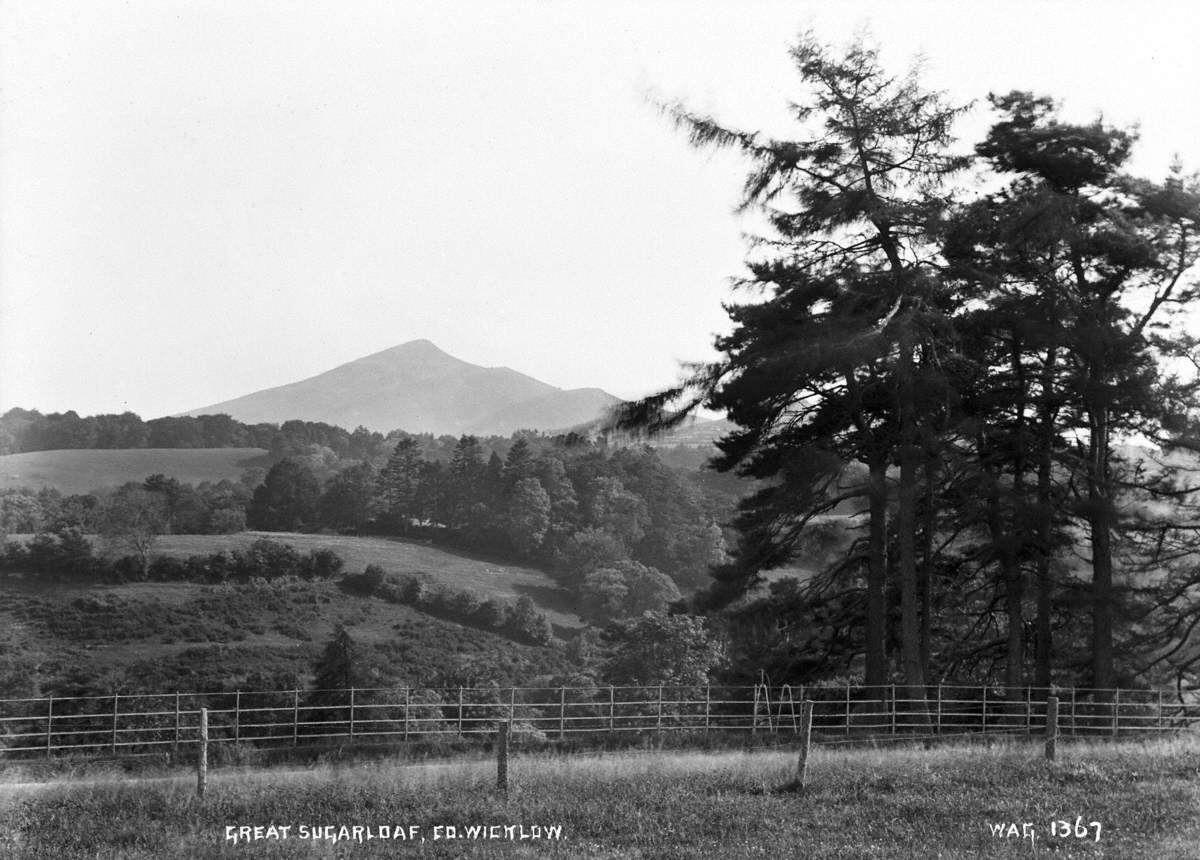 Great Sugerloaf, Co. Wicklow