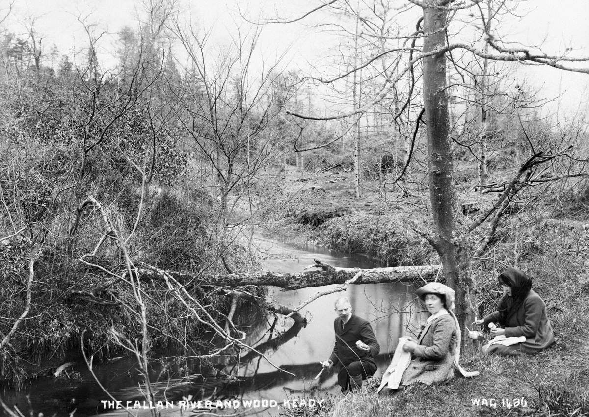 The Callan River and Wood, Keady