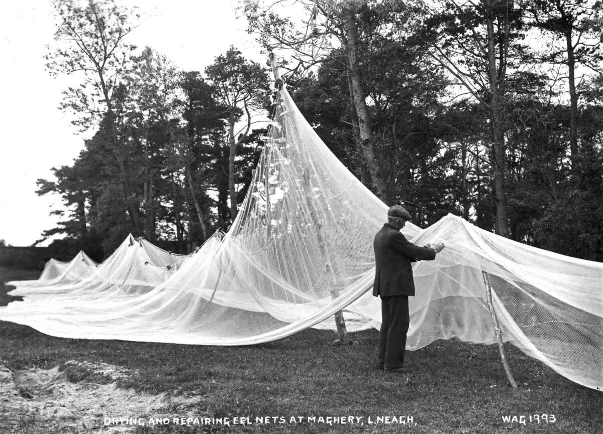 Drying and Repairing Eel Nets at Maghery, L. Neagh