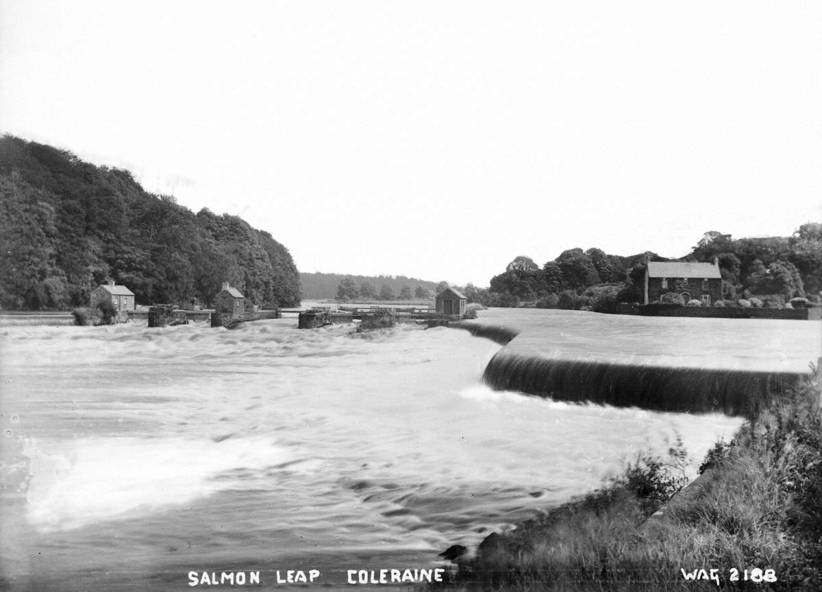 Salmon Leap, Coleraine Art UK
