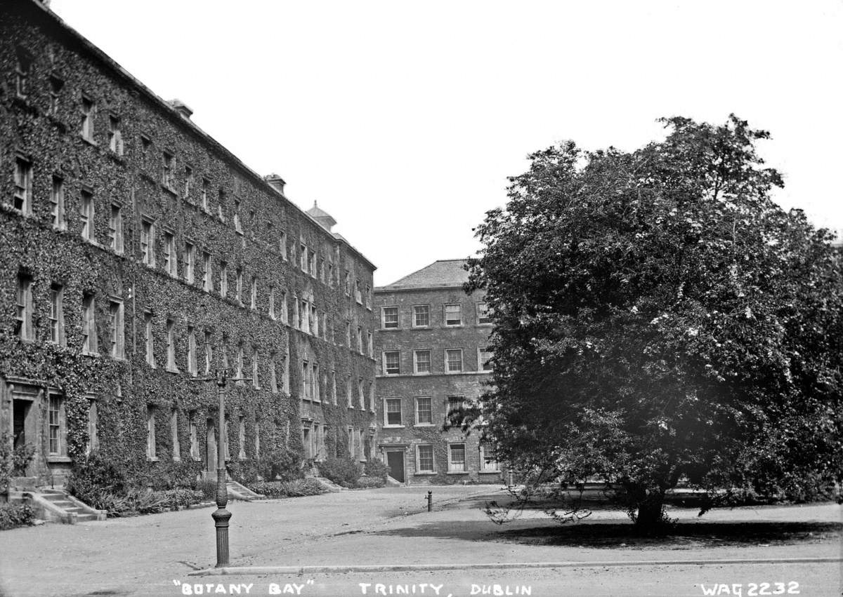 'Botany Bay', Trinity, Dublin