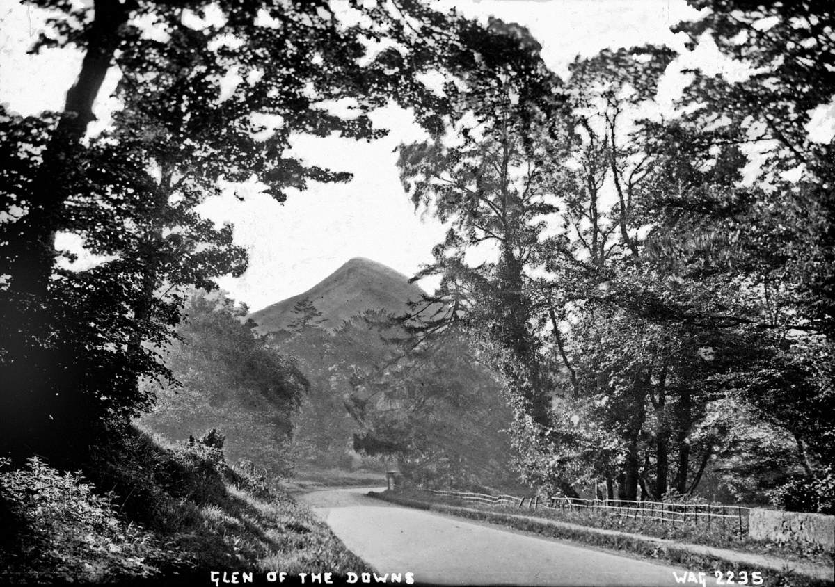 Glen of the Downs