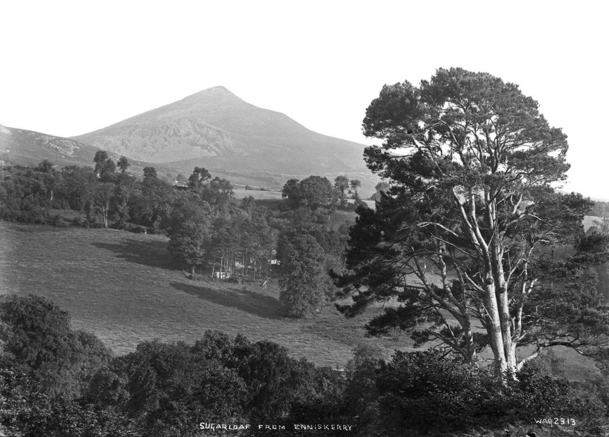 Sugarloaf from Enniskerry