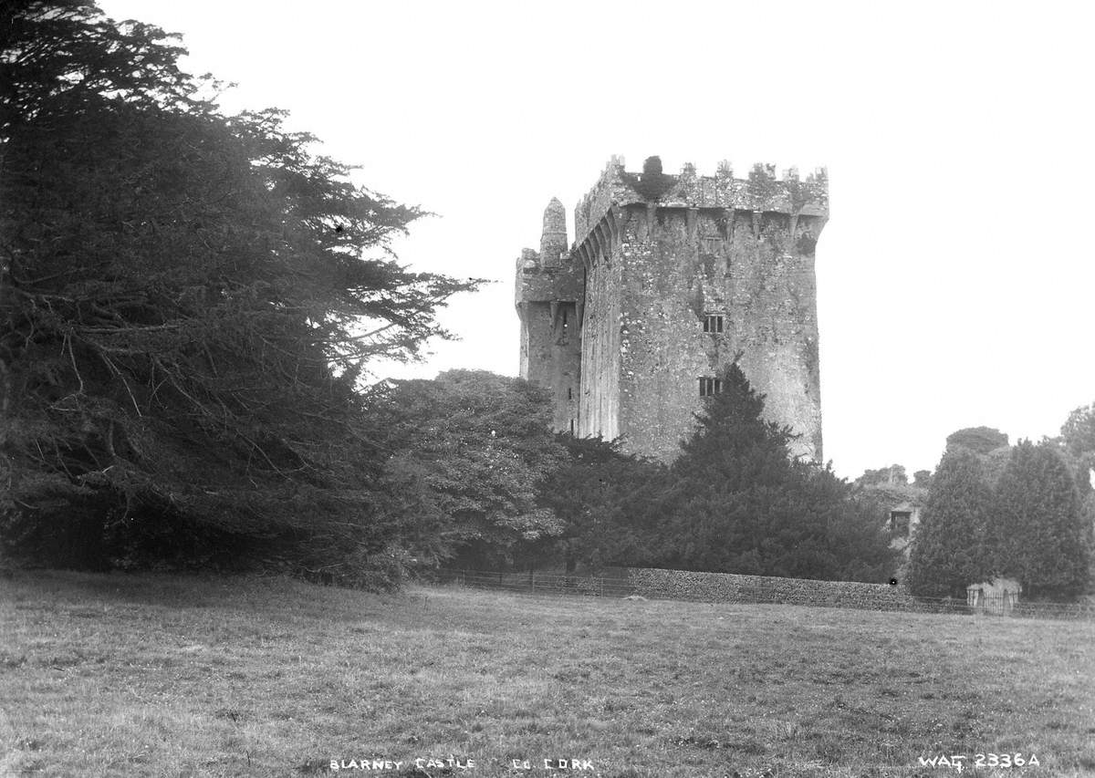 Blarney Castle, Co. Cork Art UK