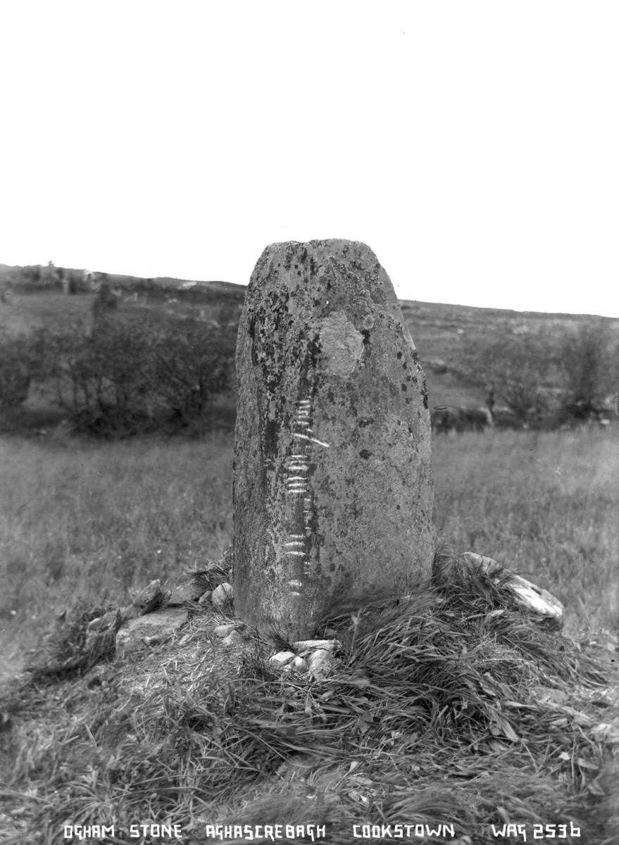 Ogham Stone, Aghascreorgh, Cookstown