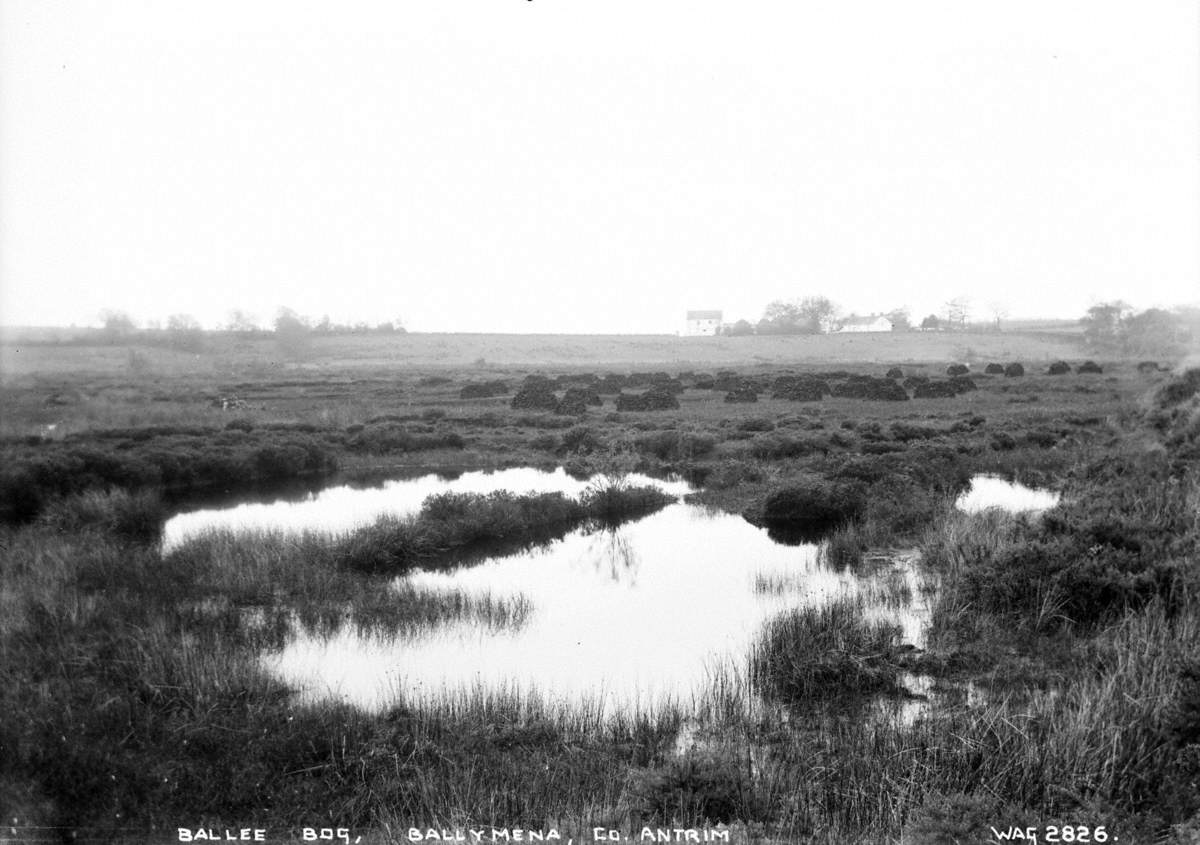 Ballee Bog, Ballymena, Co. Antrim