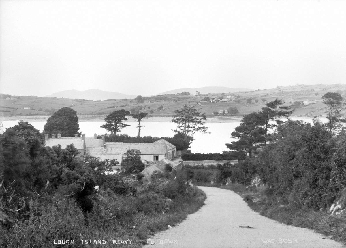 Lough Island Reavy, Co. Down