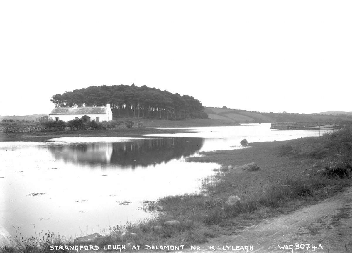 Strangford Lough at Delamont near Killyleagh