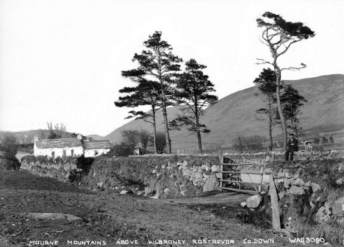 Mourne Mountains above Kilbroney, Rostrevor, Co. Down