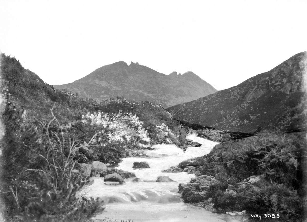 Untitled (Slieve Bearnagh and Trassey Burn)