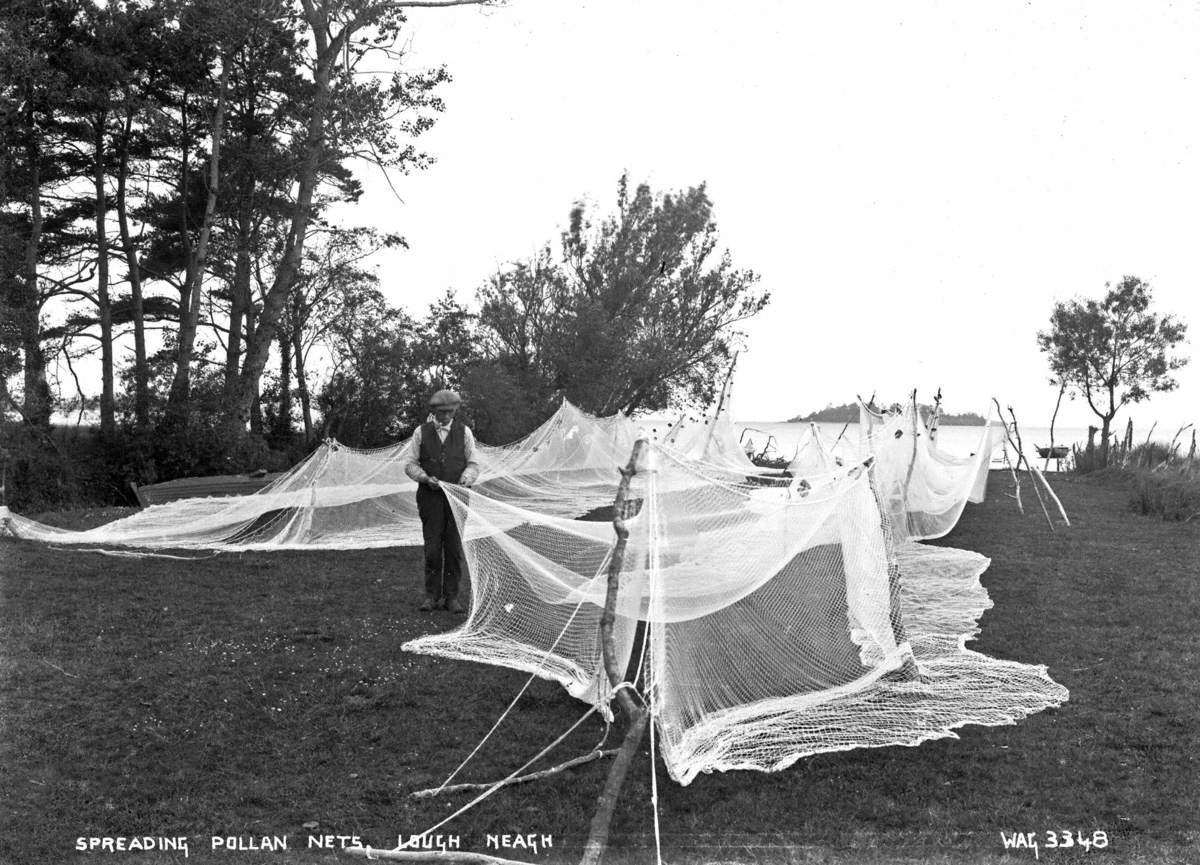 Spreading Pollan Nets, Lough Neagh