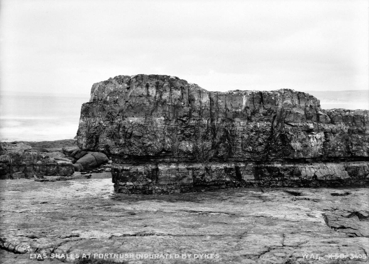 Lias Shales at Portrush Indurated by Dykes