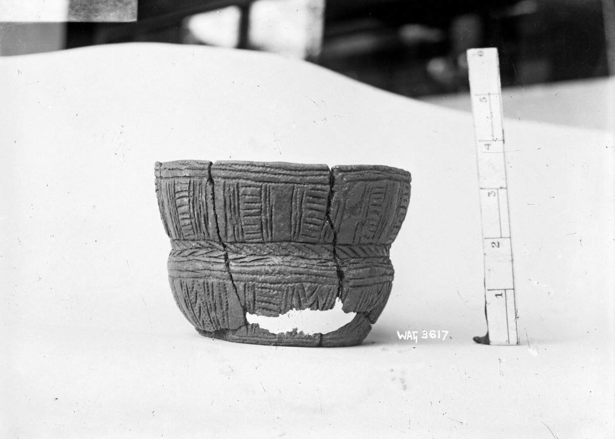 Untitled (a view of a reconstructed urn against a white background with scale)